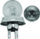 01-170-01l Sports Parts Inc Sport