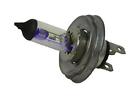 01-178-03g Sports Parts Inc Quartz Halogen Bulb Gold