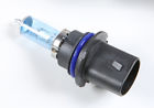 01-179-01s Spi Halogen Bulb Cat