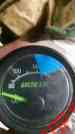 0638-423 Cat Kit Temp Gauge Arctic