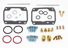 111195765 Aftermarket Arctic Cat Zr Ext Carb Carburetor Kit