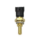 278002895 Brp Can-am Oem Engine Coolant