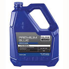 So2875036 2875036 Polaris Blue 2 Cycle