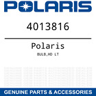 4013816 Polaris Oem Bulb Hd Lt