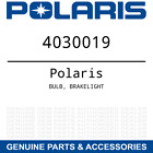 4030019 Polaris Bulb Brakelight Oem