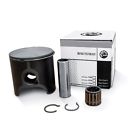 415129542 Piston Kit Ski