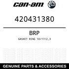 420431380 Renegade Gasket Ring