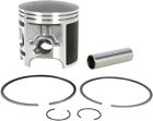 50-521-05pk Wsm Cast Series Piston