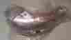 514053609 Ski-doo Oem Rev Exhaust Pipe Upper Front Half Shield New