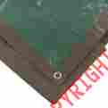 0643838 57033 Erickson Reversible Tarp 12ft X 16ft 064383570338