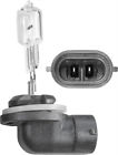 894-can Sports Parts Inc Spi Action Bulb