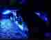 B5050 Unbranded Led Snowmobile Underglow 12v Custom Neon Accent Lighting Blue 4 Pcs 1 Atv