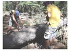 Fande123 Survival Pocket Chainsaw Bushcraft Snowmobile Trail Clearer 24 Buzzsaw Lite Compact Emergency Gear