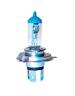 01-165-04 Sports Parts Inc Quartz Halogen Bulb 100/80w