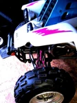 Shock Cover Atv Pour Yamaha Raptor ,banshee,warrior, 3 Couvre Amortisseur Flame. Fixed Price $43.30.