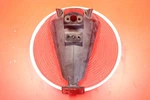 2008 Kawasaki Concours 14 Black Oem Rear Back Wheel Tire Hugger Fender. Fixed Price $43.95.