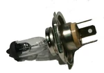 Polaris Sportsman 500 Efi X2, 2007-2009, Headlight Bulb 4011603 & Deluxe. Fixed Price $7.99.
