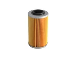 Oil Filter Bomber Outlander Max H.o. 2006 Efi 800. Fixed Price $7.95.