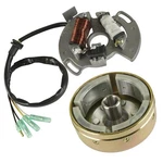 Flywheel Generator W/ Stator Magneto For Yamaha Blaster YFS200 1990-2006. Fixed Price $68.00.