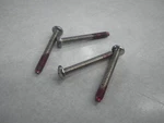 New Arctic Cat 1975 El Tigre Headlight Screws (4) Part 0123-733. Fixed Price $7.95.