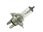 Hella Multi-purpose Light Bulb H4 100/55W. Fixed Price $9.73.