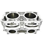 2012 Polaris 800 Replated Cylinder Rmk Pro Assault Dragon 3022352. Fixed Price $1149.95.