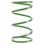 Polaris 3235759 Comp Grn/slvr 125-190 Spring Rzr Ranger 1000 D4 D2. Fixed Price $50.95.