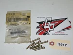 Ski-doo New Oem Solid Steel Rivet Qty 7 390004800. Fixed Price $23.67.
