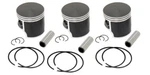 Arctic Cat Pantera 1000 Spi Piston Kits 81MM Std Stock Bore 2000 2001. Fixed Price $238.88.