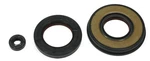 Arctic Cat M7, 700 Cc, 2005-2006, / Crankshaft & Water Pump Seal Kit. Fixed Price $51.06.