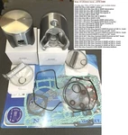 2008 2009 2010 2011 Ski-doo 800 Gsx Mx-z Renegade Summit Piston Rebuild Kit. Fixed Price $200.00.