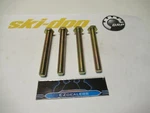 Ski-doo /sea-doo/brp 250000151 Hex Screw O.e.m. N.o.s. Qty 4. Fixed Price $9.99.