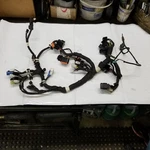 2015-2016 Polaris Axys Switchback Rush 800 Main Wire Harness 2412445. Fixed Price $89.10.