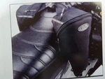 Double Tank Bag Older Model Ski-doos 4470930090. Fixed Price $89.99.