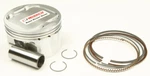 Wiseco Piston Kit 1.00MM Oversize 93.00MM 4677M09300. Fixed Price $213.70.