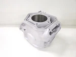 Ski Doo Mxz, Summit, Renegade 600 Ho Etec Spi Cylinder 2009-2017. Fixed Price $229.00.