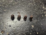 1982 Honda Magna V45 Original Front Header Exhaust Mounting Nuts. Fixed Price $19.99.