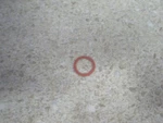 Nos Oem Polaris Needle Valve Packing 1985-06 Tail Blazer 250 3130017. Fixed Price $7.99.