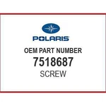 Polaris SCR-M10X1.50X50 Hx/fl-y 7518687 Oem New. Fixed Price $5.99.