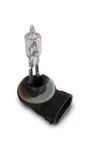 2005-10 Polaris Sportsman 500 600 700 800 Bumper Headlight Bulb 4011066 4030048. Fixed Price $9.95.