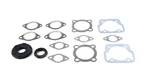Yamaha SS396, 1969-1970, Full Gasket Set And Crank Seals. Fixed Price $44.92.