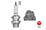 Ngk 7909 Spark Plug. Fixed Price $11.88.