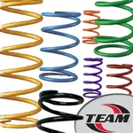 Team 210210-005 Arctic Cat Primary Clutch Spring Lime Green/red. Fixed Price $43.18.