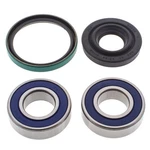 Ski-doo Skandic 380, 1995-1999, Track Drive Shaft/chain Case Bearing & Seal Kit. Fixed Price $27.39.