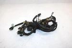 02 Arctic Cat Pantera 600 Esr Efi Oem Main Wire Harness 0686-774 SAS8. Fixed Price $113.59.