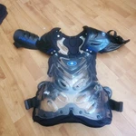 Polaris Chest/elbow Protection Adult Free Shipping. Fixed Price $75.00.