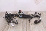 2019 Ski-doo Summit 850 E-tec Wire Harness Wiring W/ Tps And Knock Sensor. Fixed Price $169.00.