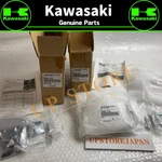 2019 - 2023 Genuine Kawasaki W800 Left & Right Chrome Throttle Body Covers. Fixed Price $112.07.