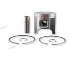 Piston Kit 09-650 3006-921 Std +ring For Snowmobile Arctic Cat Panther 570/F570. Fixed Price $85.22.