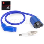 Ignition Coil Pack Spark Plug For Polaris Trail Blazer 330 Xpedition 325 2000-13. Fixed Price $17.99.